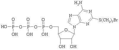 triphosphates chromatography