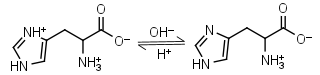 Histidine, biological buffers structure