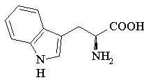 Tryptophan structure