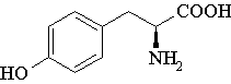 Tyrosine structure